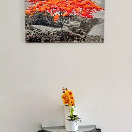 Patio Privado Com Churrasqueira By Ferias Em Figueira *