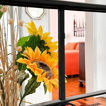 Patio Privado Com Churrasqueira By Ferias Em Figueira *